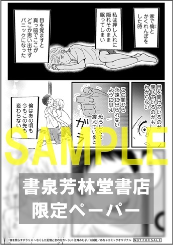 【限定ペーパー】「夜を照らすポラリス～なくした記憶と恋の行方～３」オンリーリップス　めちゃコミックオリジナル