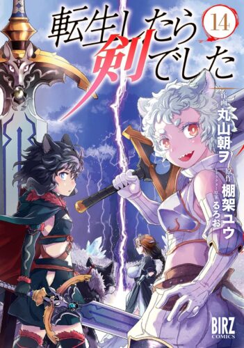 【限定ペーパー付】転生したら剣でした（14）