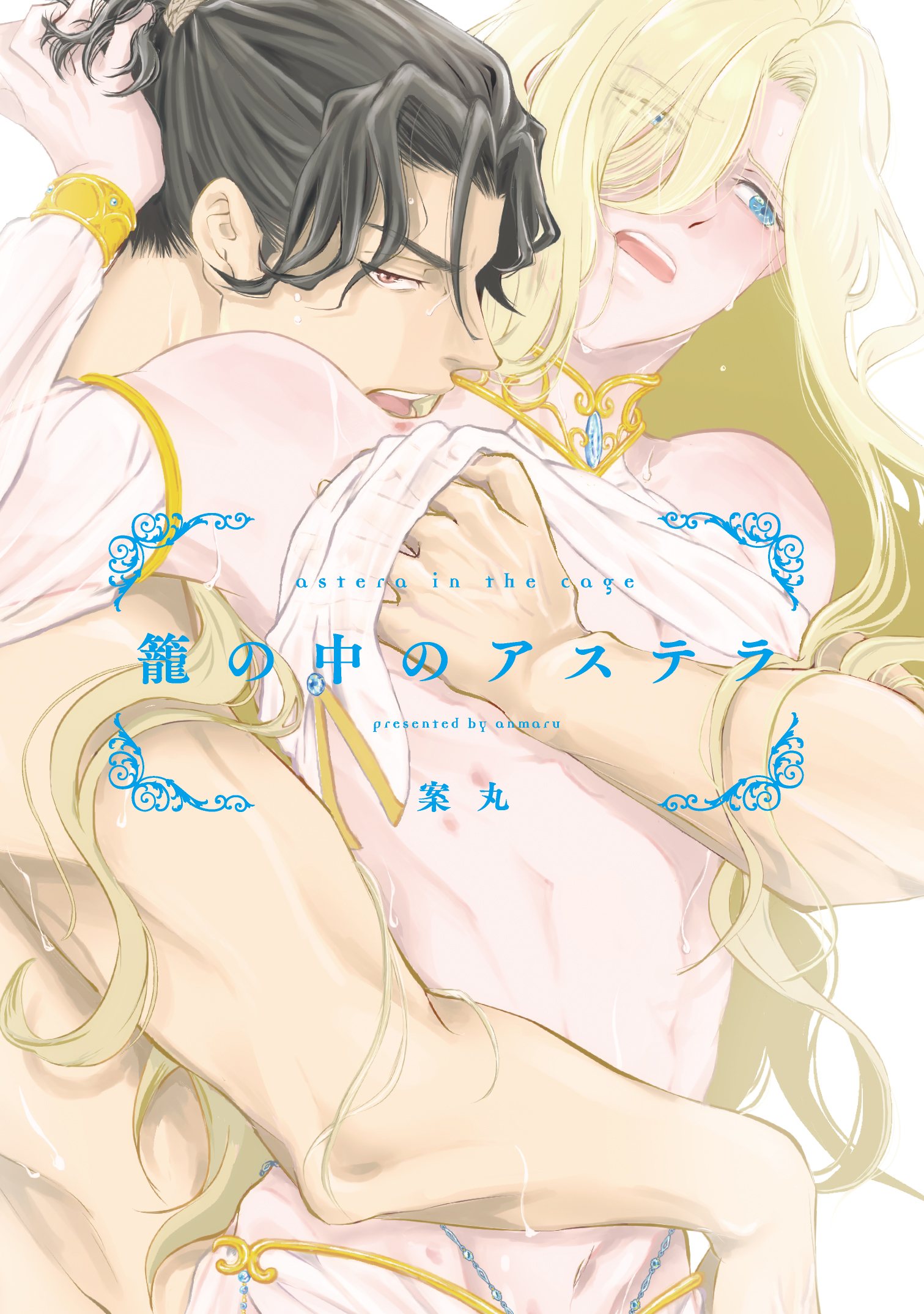 『籠の中のアステラ』著:案丸