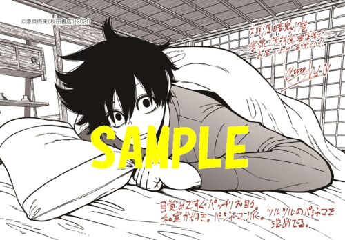 【共通ペーパー】桃源暗鬼　17巻