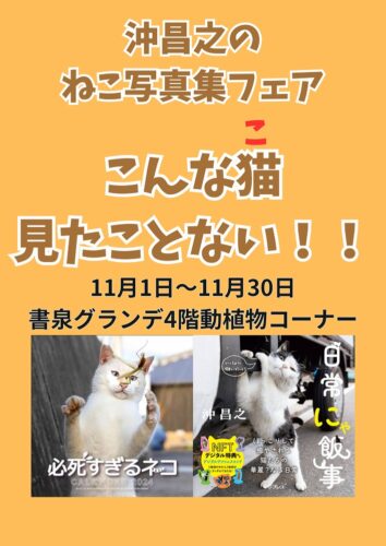 沖昌之 のねこ写真フェア　こんな猫(こ)見たことない！！