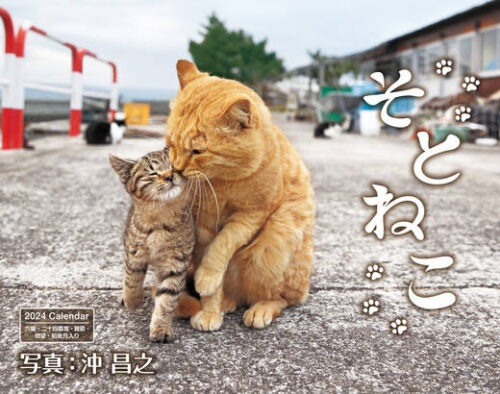 【サイン入り】そとねこ　インプレスカレンダー2024