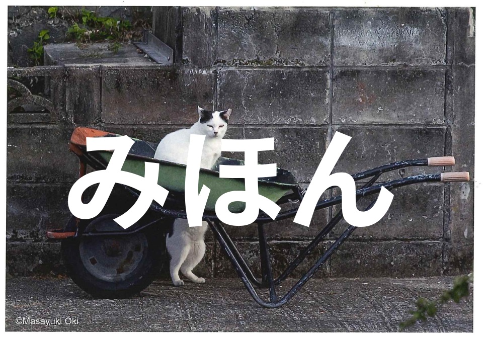 書泉特典「ネコ車ポストカード」