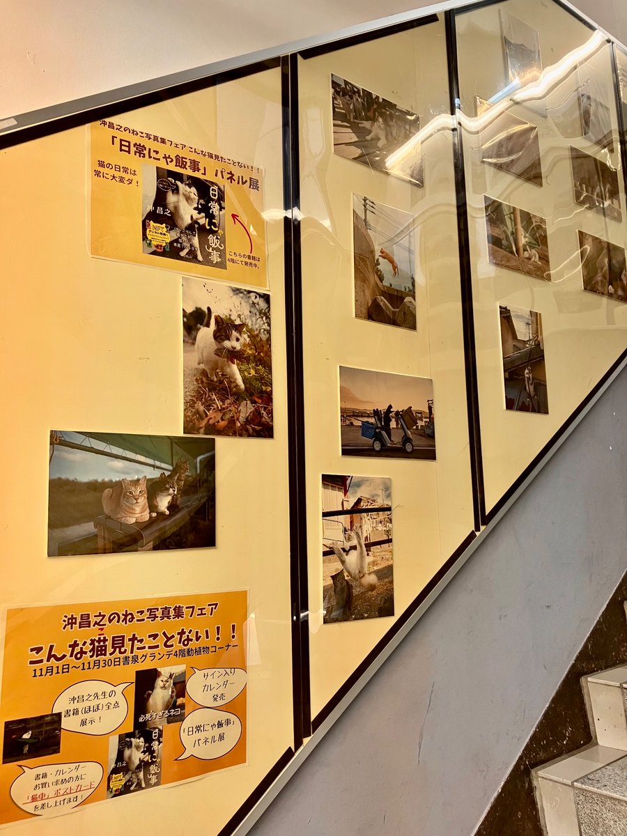 パネル展