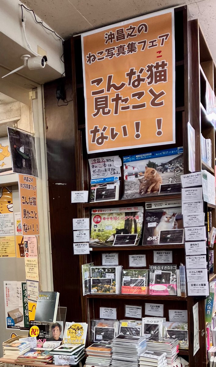 フェアの模様