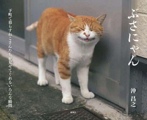 【サイン本】ぶさにゃん