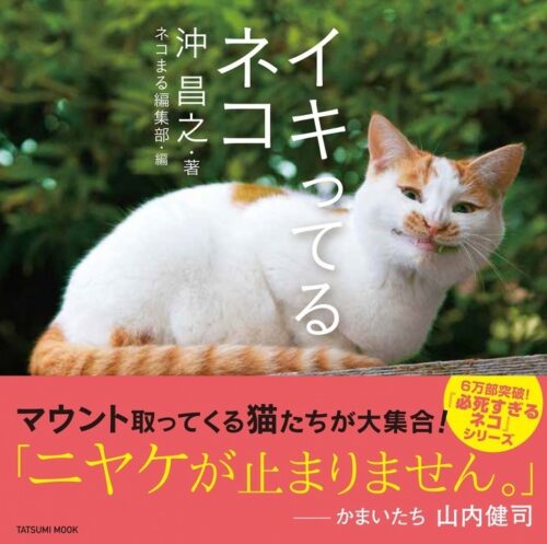 【サイン本】イキってるネコ