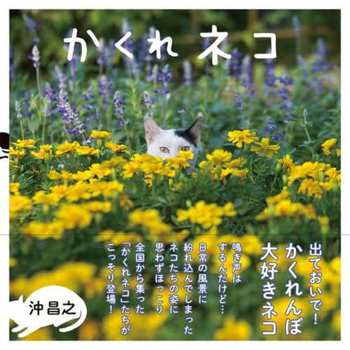 【サイン本】かくれネコ