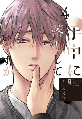 『手中に落としていいですか④』著：くれの又秋