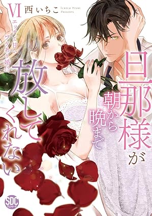 秋水デジタルコミックス『旦那様が朝から晩まで放してくれない エッチで甘いワケあり婚!?Ⅵ』発売記念フェア