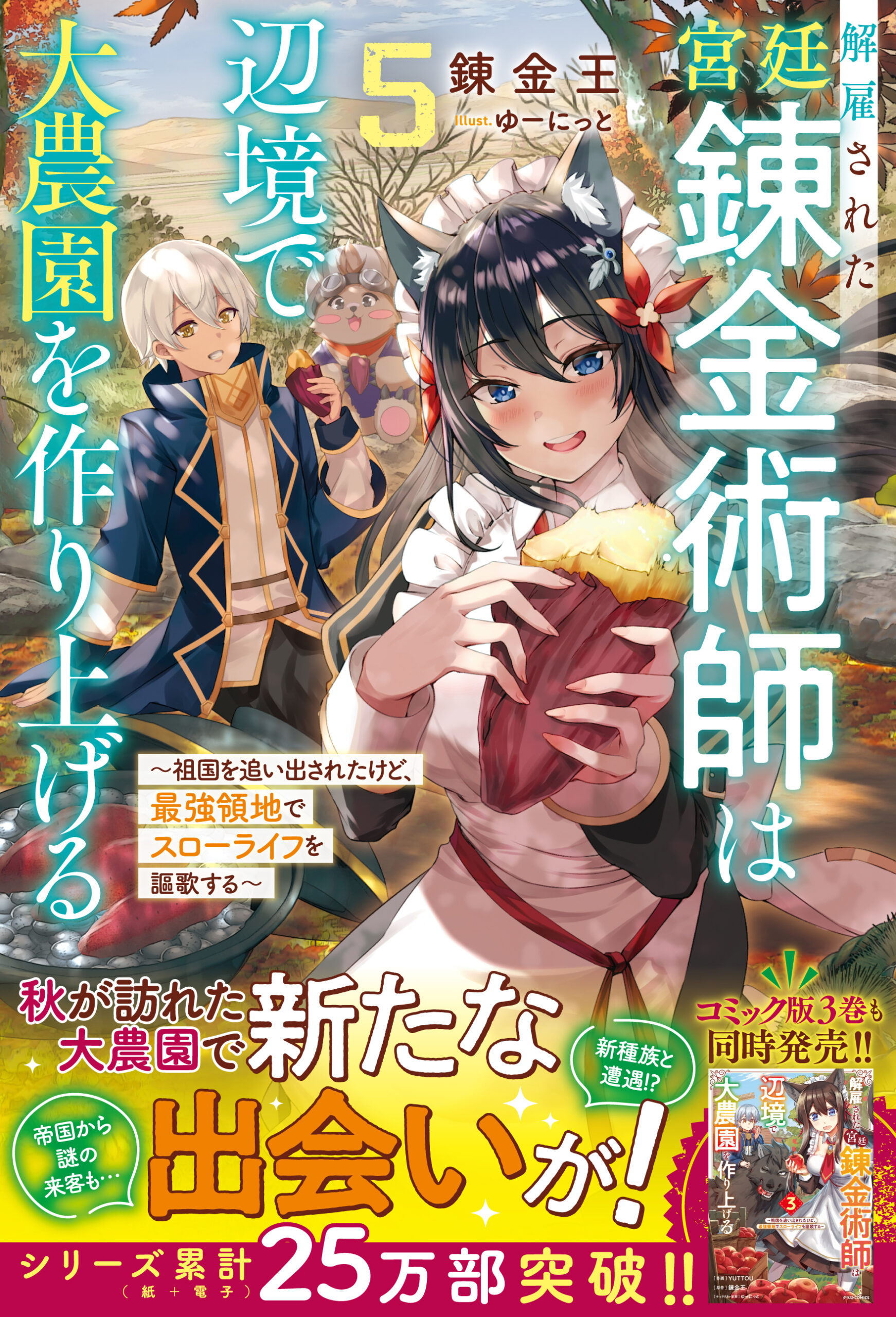 書影