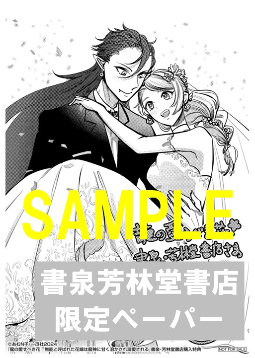 限定ペーパーサンプル