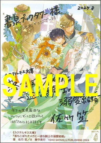 『落ちこぼれオメガと一途な騎士の溺愛結婚』著：佐竹笙 画：兼守美行