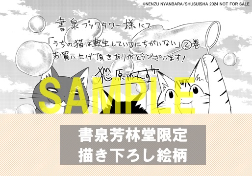 書泉・芳林堂限定ペーパー
