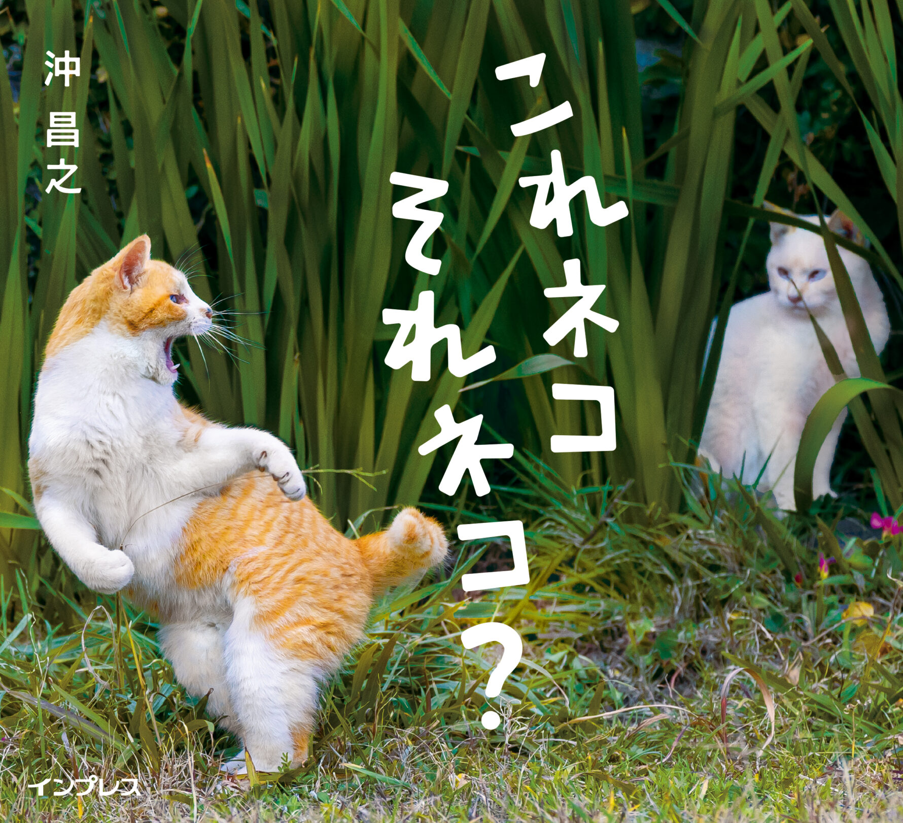 これネコ それネコ?表紙画像