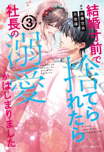 マーマレードコミックス『結婚寸前で捨てられたら社長の溺愛がはじまりました』3巻発売&完結記念　天夜 葎先生WEBサイン会