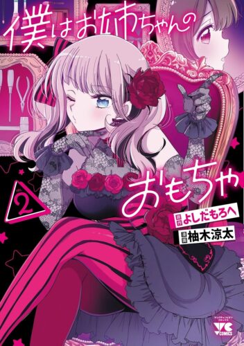 僕はお姉ちゃんのおもちゃ 2巻