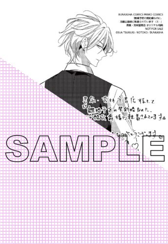 【限定ペーパー】離婚予定の契約婚なのに、冷酷公爵様に執着されています（３）（ぶんか社コミックス PRIMO COMICS）