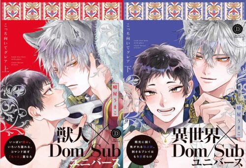 DAISYCOMICS（デイジーコミックス）晴屋うまこ先生『こっち向いてグレア上・下』発売記念フェア