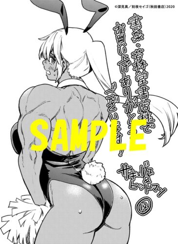 【限定ペーパー】サキュバス＆ヒットマン　12巻