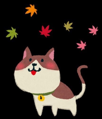 2025秋のコミックサイン本フェア