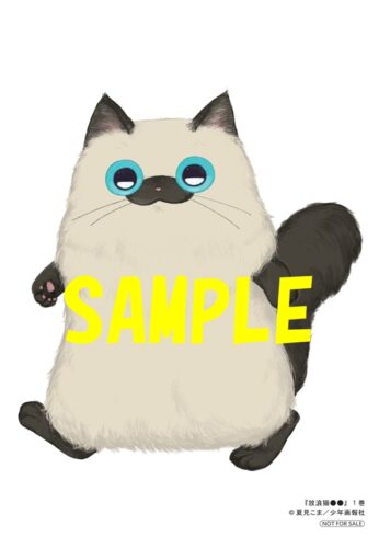 「放浪猫●●」 1巻発売記念フェア