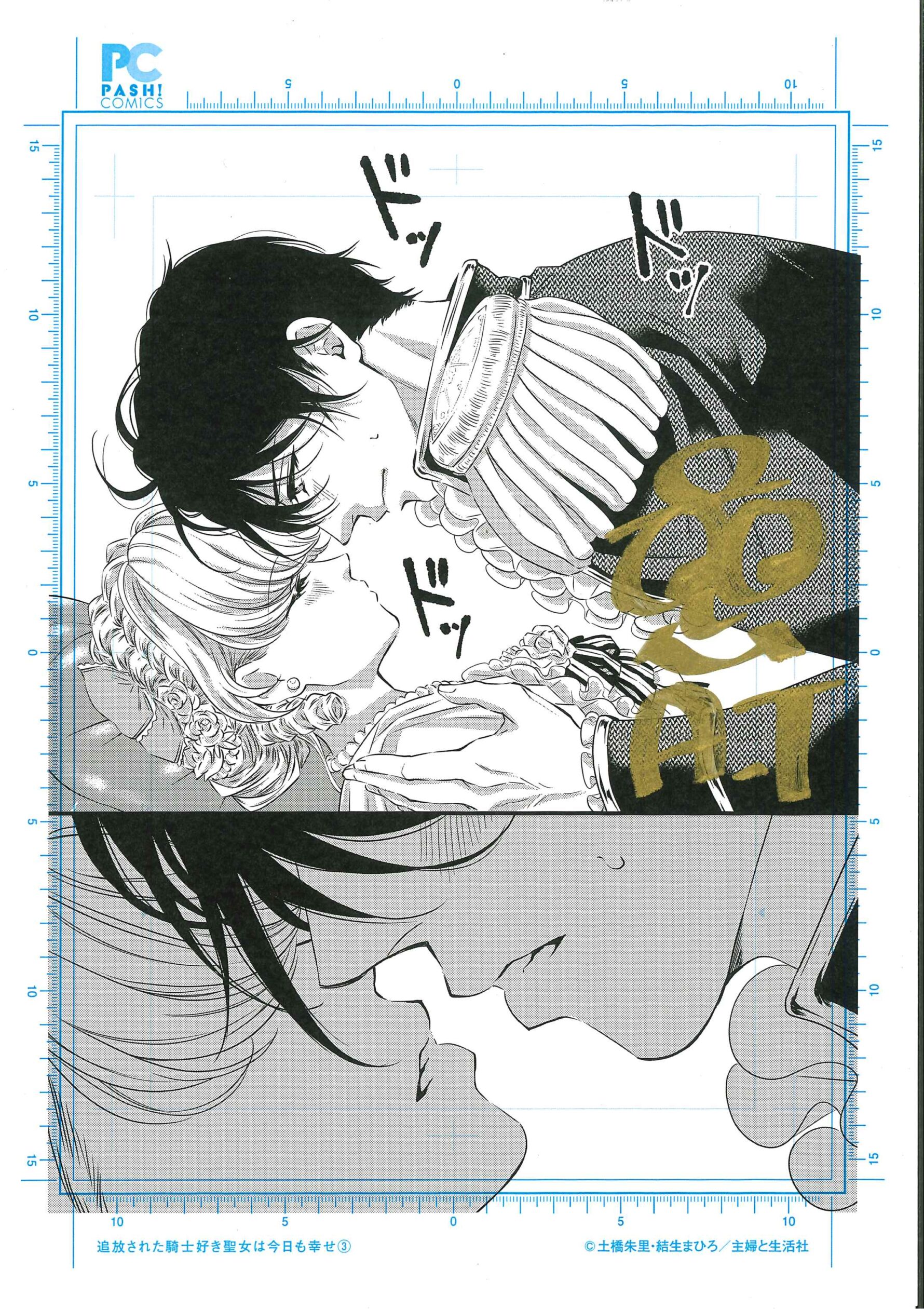 追放された騎士好き聖女は今日も幸せ 3　サイン入り複製原画サンプル