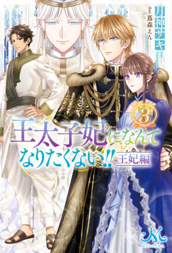 【抽選サイン本】「王太子妃になんてなりたくない!!　王妃編３」