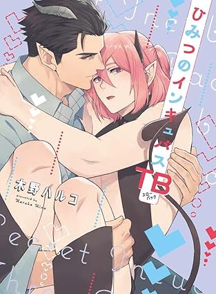 『ひみつのインキュバスTB』著：木野ハルコ