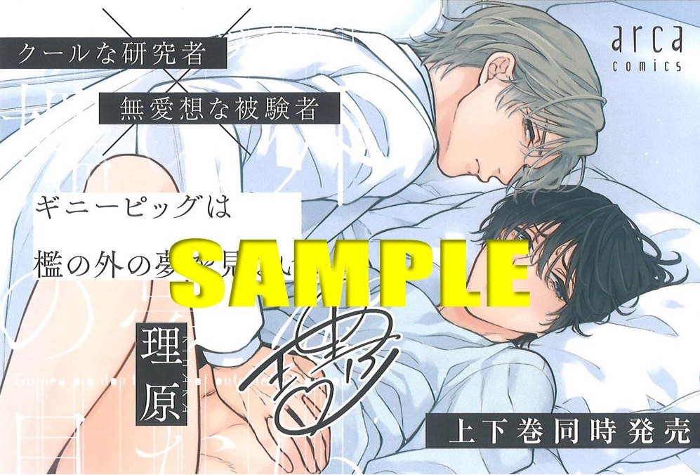 販促用POPサンプル(ランダム配布)