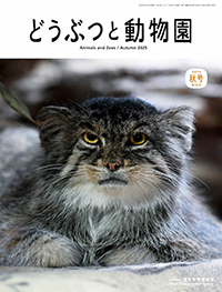 どうぶつと動物園令和７年秋号　740号