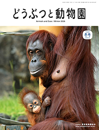 どうぶつと動物園2026年冬号　第741号