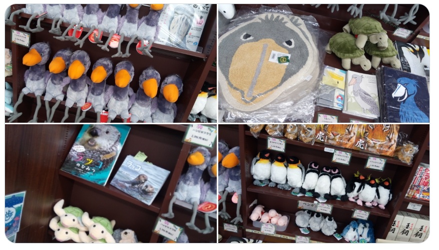 前回の書泉動物園の様子。内容は変わる可能性がございます。