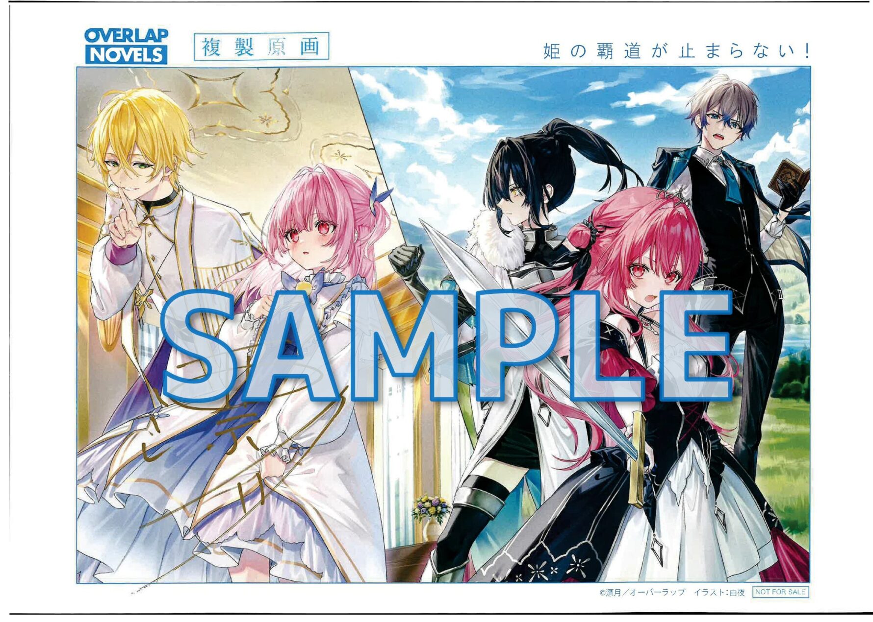 姫の覇道が止まらない！①　～転生紋章官ジュナンのままならない日常～　複製原画サンプル2