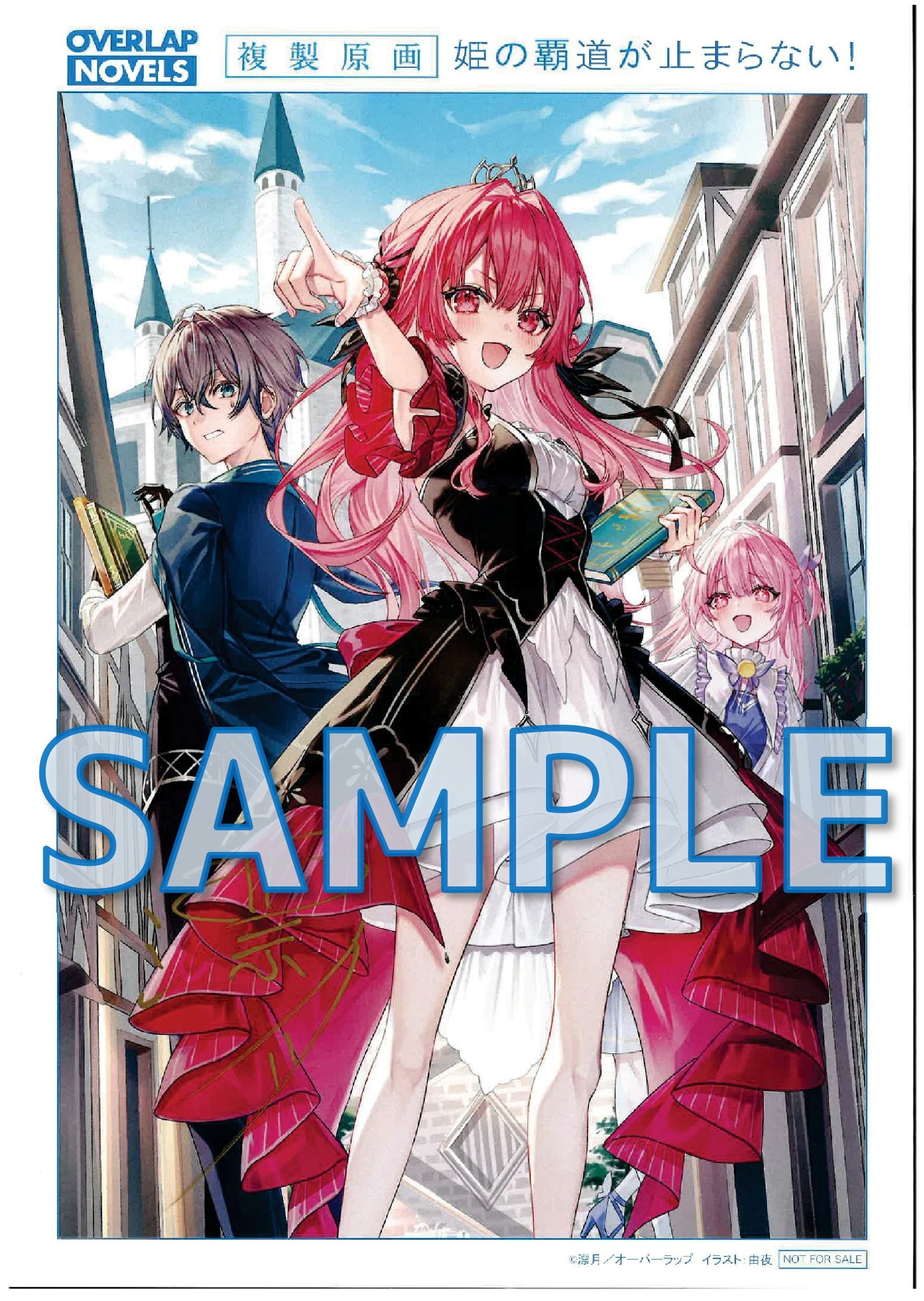 姫の覇道が止まらない！①　～転生紋章官ジュナンのままならない日常～　複製原画サンプル１