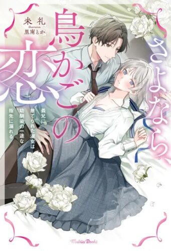 さよなら、鳥かごの恋～義兄に捨てられた淑女は幼馴染の一途な指先に溺れる～