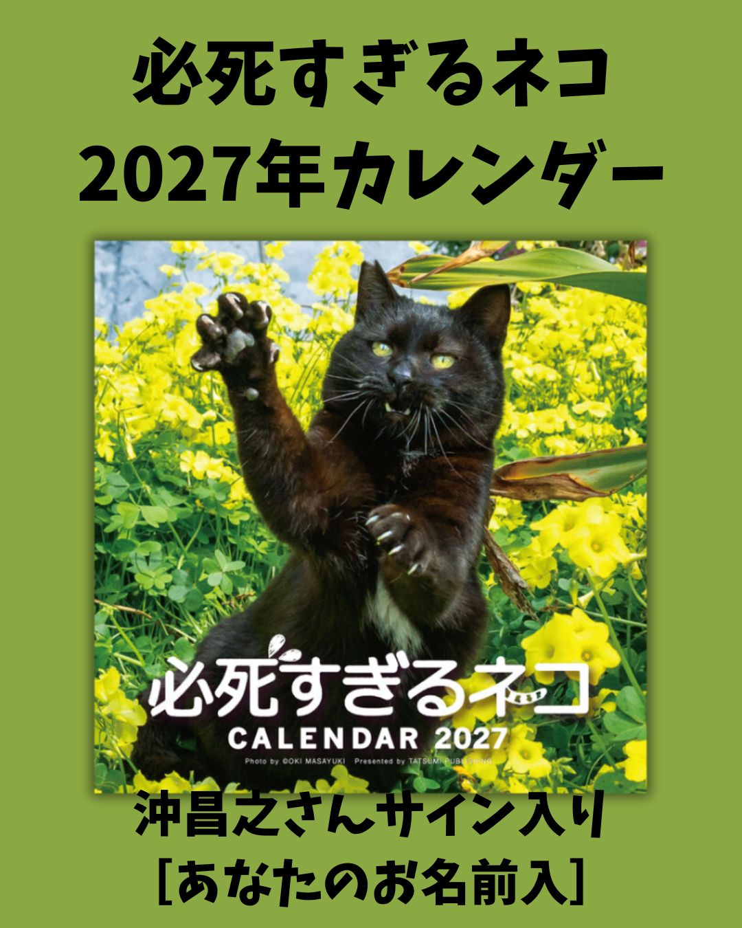 2027　必死すぎるネコカレンダー