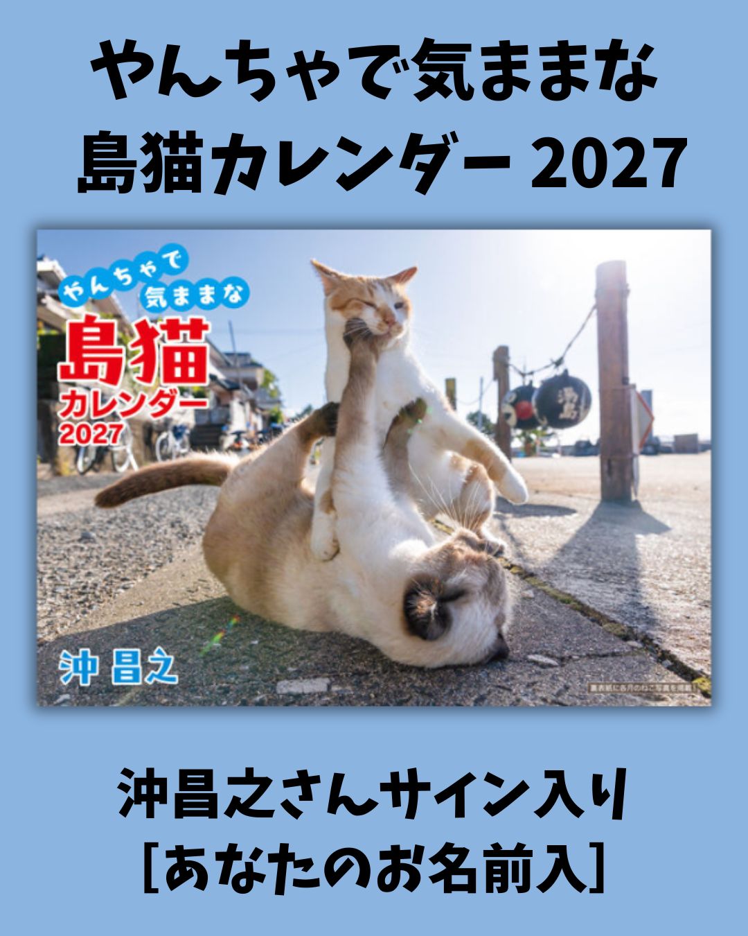 沖昌之 やんちゃで気ままな 島猫カレンダー 2027