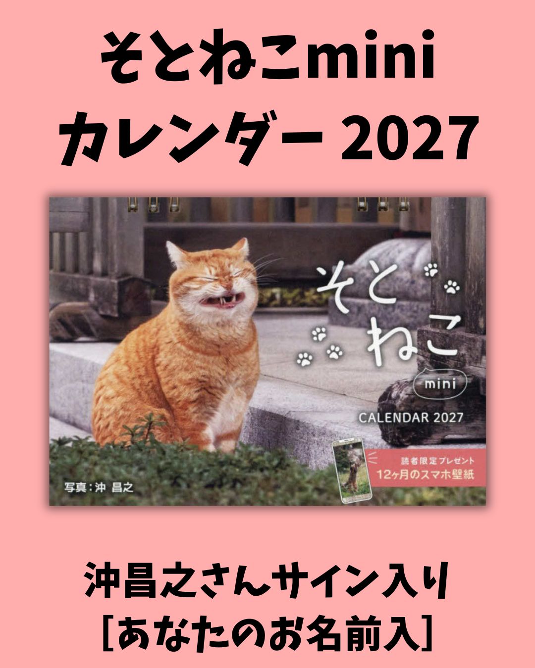 そとねこmini2027
