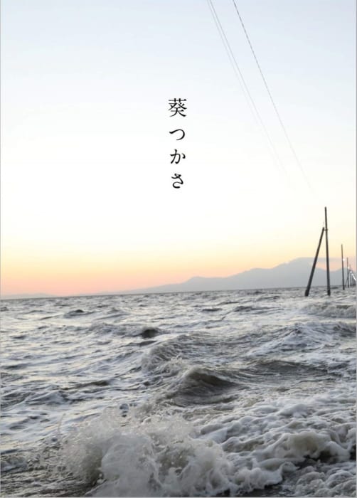 葵つかさ 写真集 限定品希少! ceratinxd.com